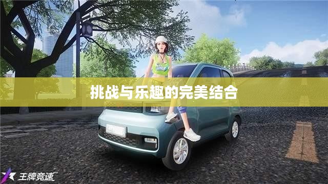 双人游戏无敌版，挑战与乐趣的完美结合