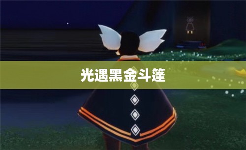 光遇黑金斗篷,神秘与优雅的邂逅 光遇黑金斗篷,神秘与优雅的邂逅