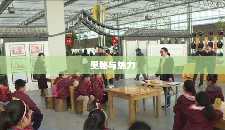 鲜花连连看，探索花卉世界的奥秘与魅力