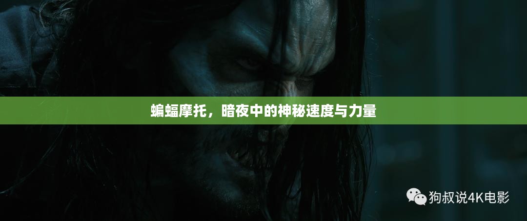 蝙蝠摩托,暗夜中的神秘速度与力量 蝙蝠摩托,暗夜中的神秘速度与力量