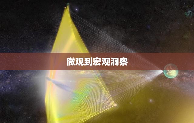 探索四分之一的力量，从微观到宏观的洞察