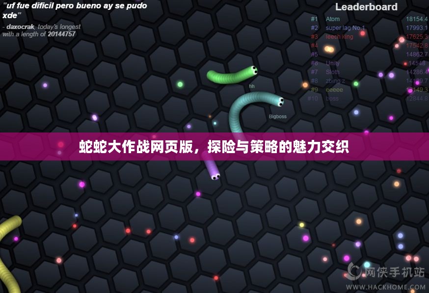 蛇蛇大作战网页版，探险与策略的魅力交织