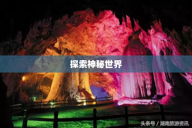 新寻仙下载，探索神秘世界的起点
