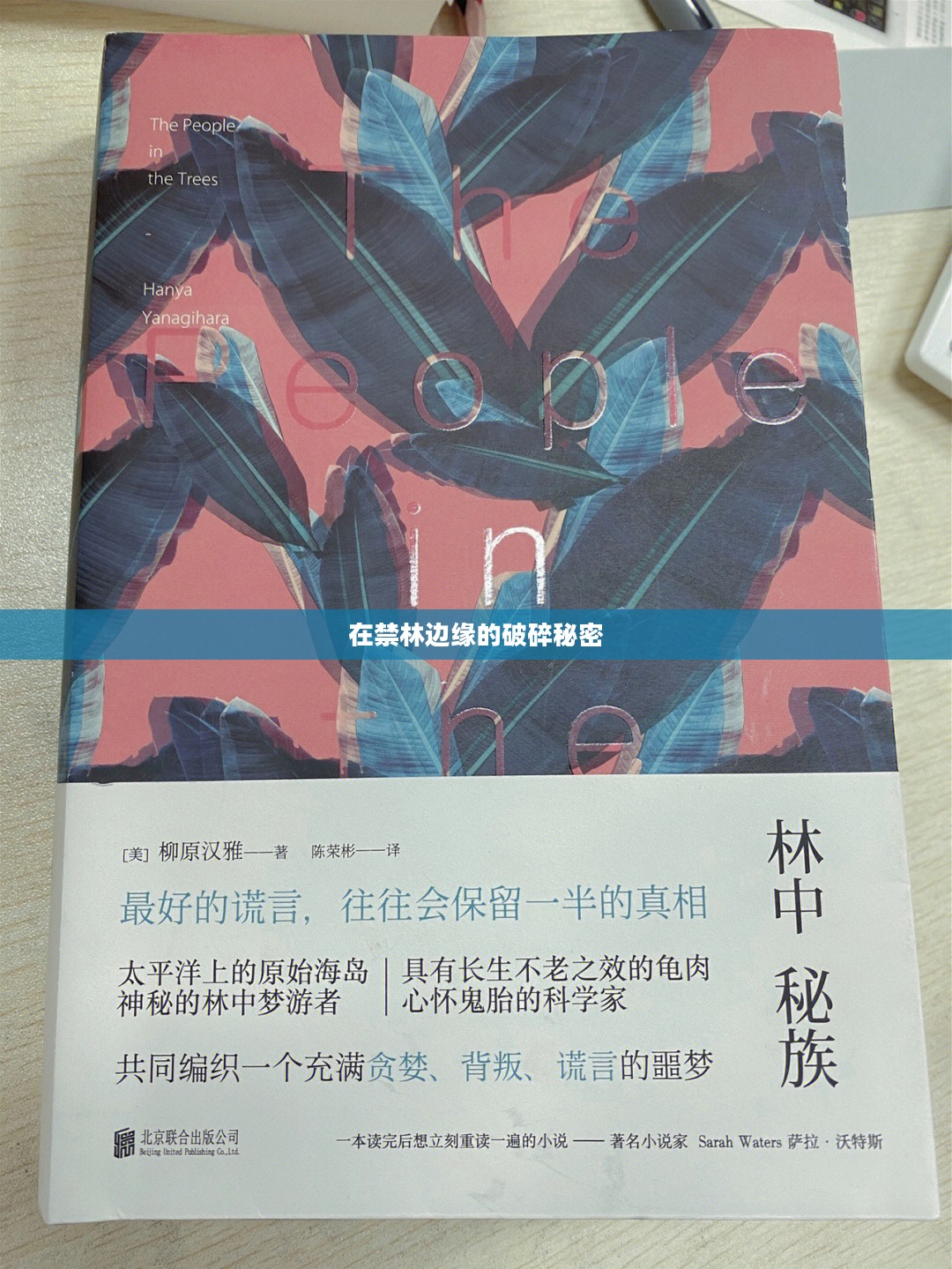 在禁林边缘的破碎秘密 在禁林边缘的破碎秘密