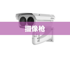 摄像枪,捕捉瞬间的科技利器 摄像枪,捕捉瞬间的科技利器