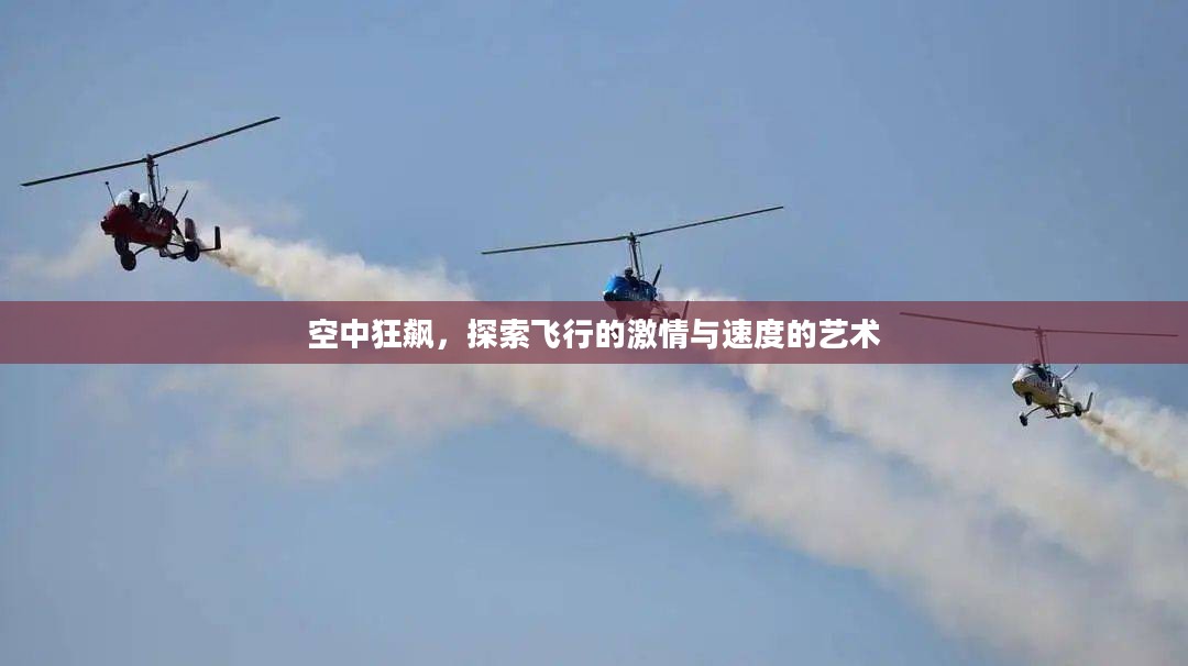 空中狂飙，探索飞行的激情与速度的艺术