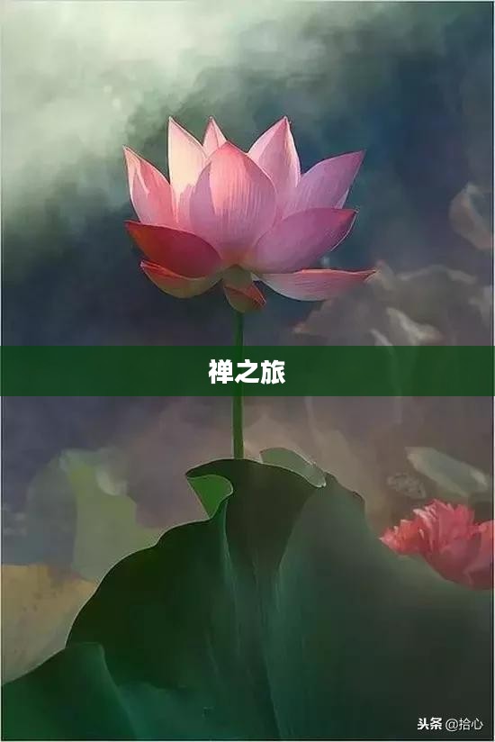禅之旅，探寻内心的宁静之道