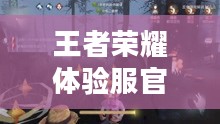 王者荣耀体验服官方网,探索游戏前沿,尽享独家体验 王者荣耀体验服官方网,探索游戏前沿,尽享独家体验