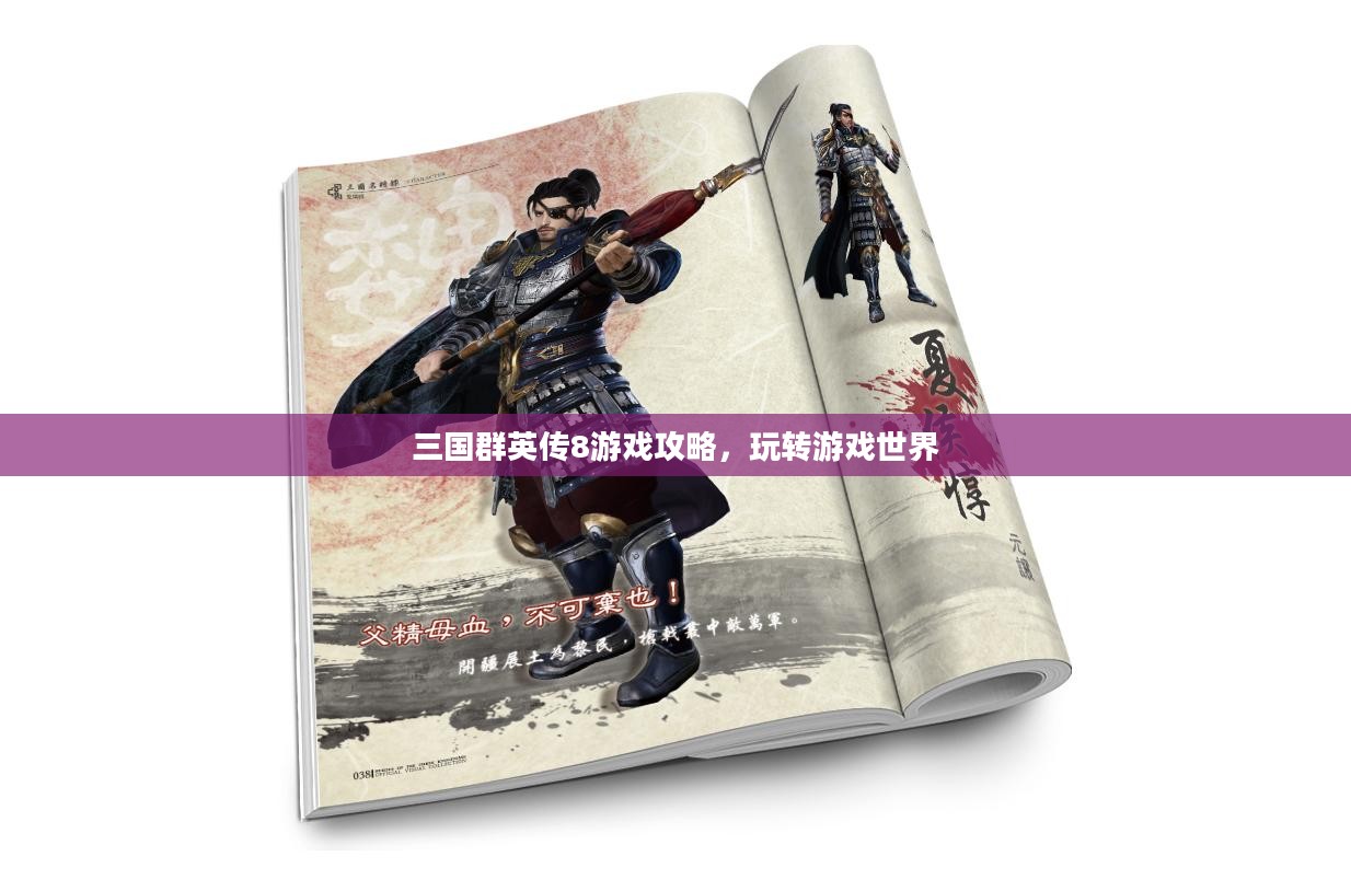 三国群英传8游戏攻略，玩转游戏世界