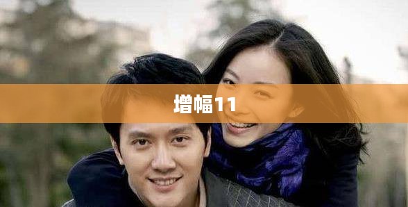 揭秘增幅11,背后的故事与深层含义 揭秘增幅11,背后的故事与深层含义