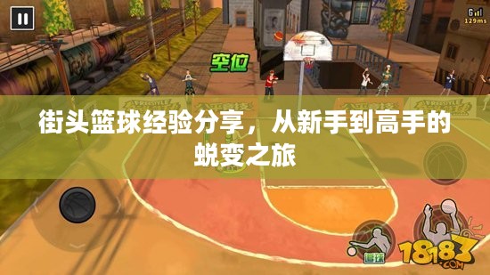 街头篮球经验分享,从新手到高手的蜕变之旅 街头篮球经验分享,从新手到高手的蜕变之旅