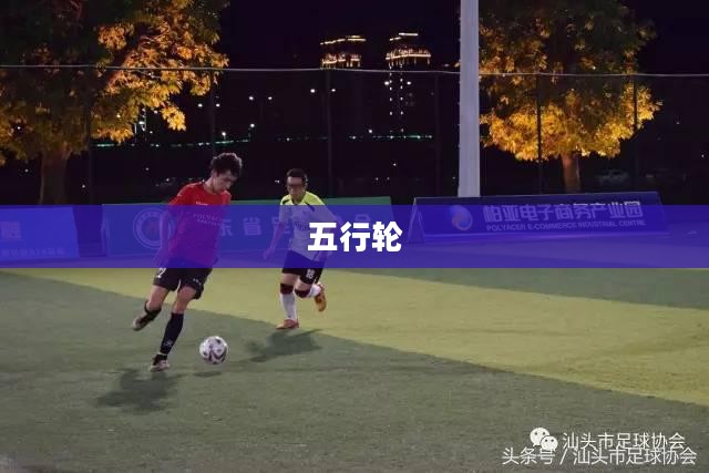 五行轮，揭示古老智慧的奥秘