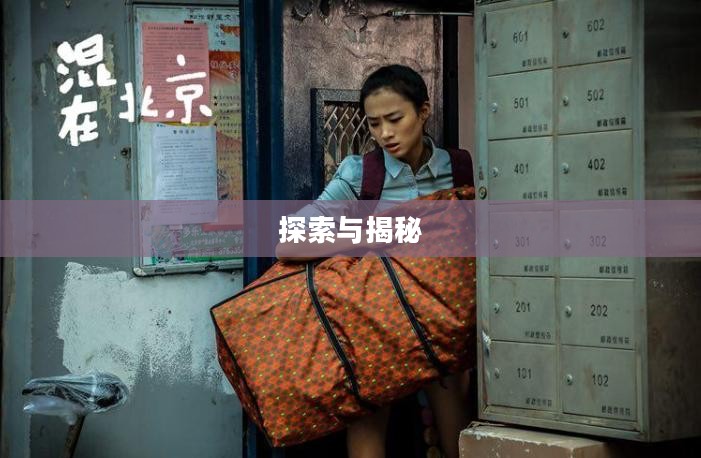 疯狂猜图答案，探索与揭秘