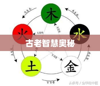 五行轮，揭示古老智慧的奥秘