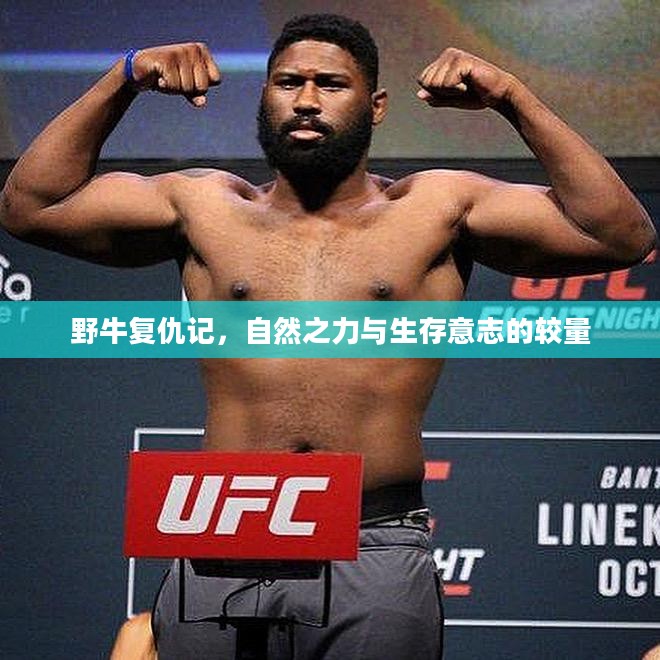 野牛复仇记，自然之力与生存意志的较量