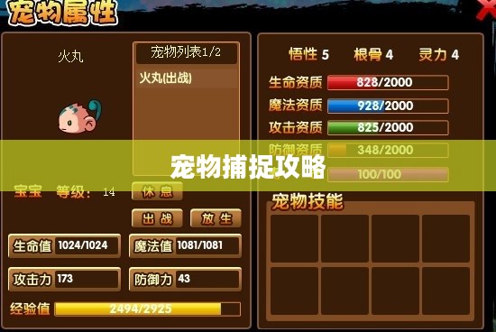 造梦西游3宠物捕捉攻略详解