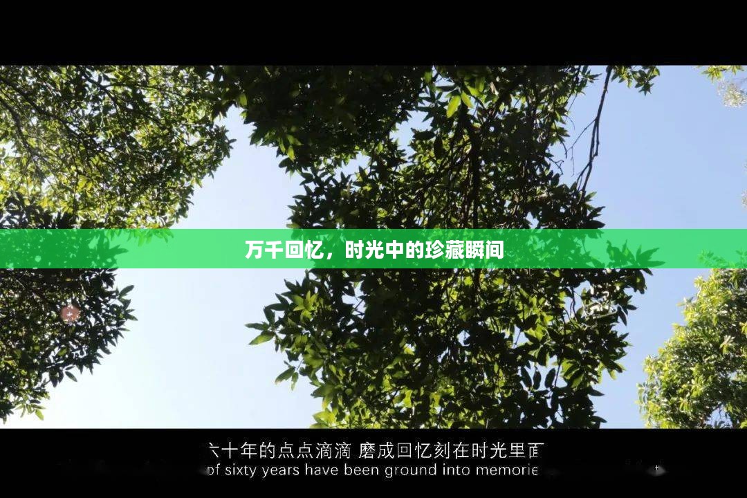 万千回忆,时光中的珍藏瞬间 万千回忆,时光中的珍藏瞬间