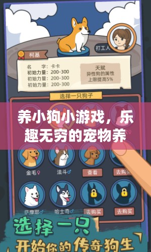 养小狗小游戏,乐趣无穷的宠物养成之旅 养小狗小游戏,乐趣无穷的宠物养成之旅
