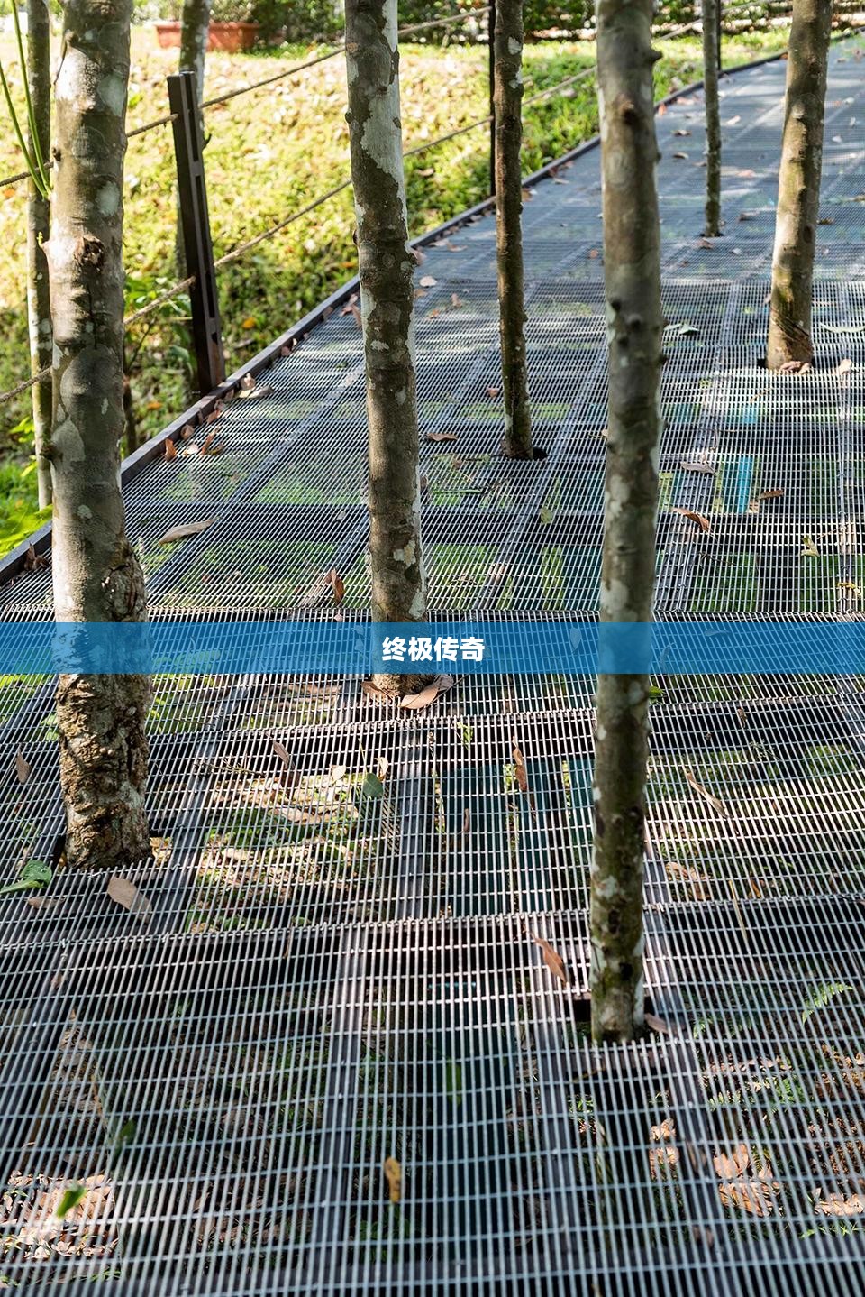 终极传奇，探索无尽荣耀的旅程