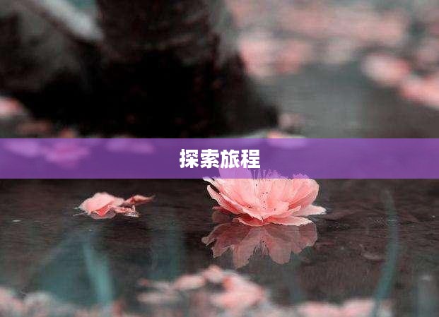 终极传奇,探索无尽荣耀的旅程 终极传奇,探索无尽荣耀的旅程