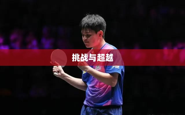 平衡球2,挑战与超越的极致之旅 平衡球2,挑战与超越的极致之旅