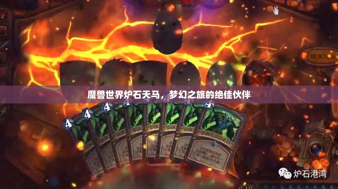 魔兽世界炉石天马，梦幻之旅的绝佳伙伴