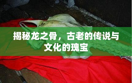 揭秘龙之骨,古老的传说与文化的瑰宝 揭秘龙之骨,古老的传说与文化的瑰宝