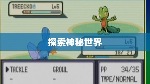口袋怪兽红宝石，探索神秘世界的无尽魅力