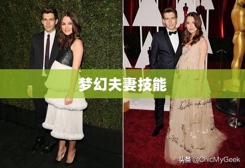 梦幻夫妻技能,缔造浪漫传奇的五大超凡组合 梦幻夫妻技能,缔造浪漫传奇的五大超凡组合