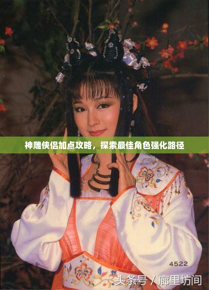 神雕侠侣加点攻略，探索最佳角色强化路径