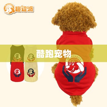 酷跑宠物,活力四溢的时尚运动伙伴 酷跑宠物,活力四溢的时尚运动伙伴