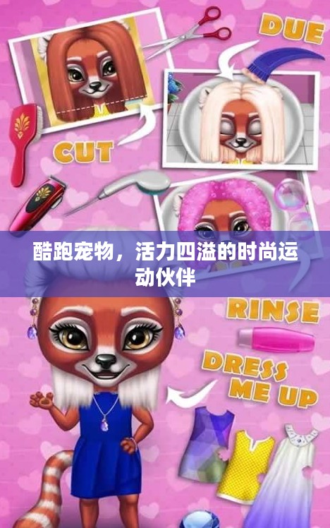 酷跑宠物，活力四溢的时尚运动伙伴