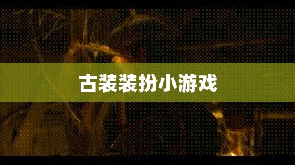 古装装扮小游戏，穿越古今的时尚魅力