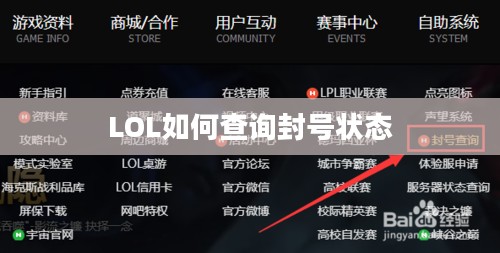 LOL如何查询封号状态