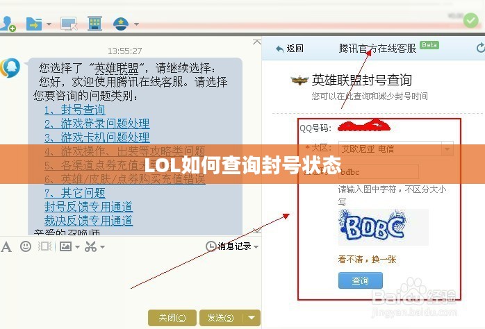 LOL如何查询封号状态