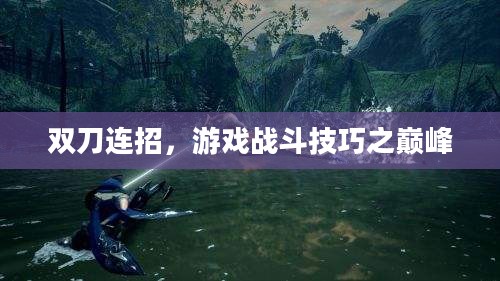 双刀连招,游戏战斗技巧之巅峰 双刀连招,游戏战斗技巧之巅峰