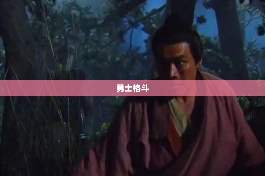 勇士格斗,荣耀与勇气交织的战场 勇士格斗,荣耀与勇气交织的战场
