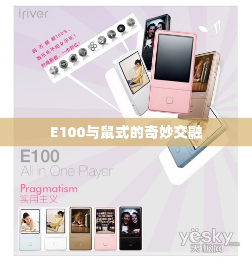 E100与鼠式的奇妙交融