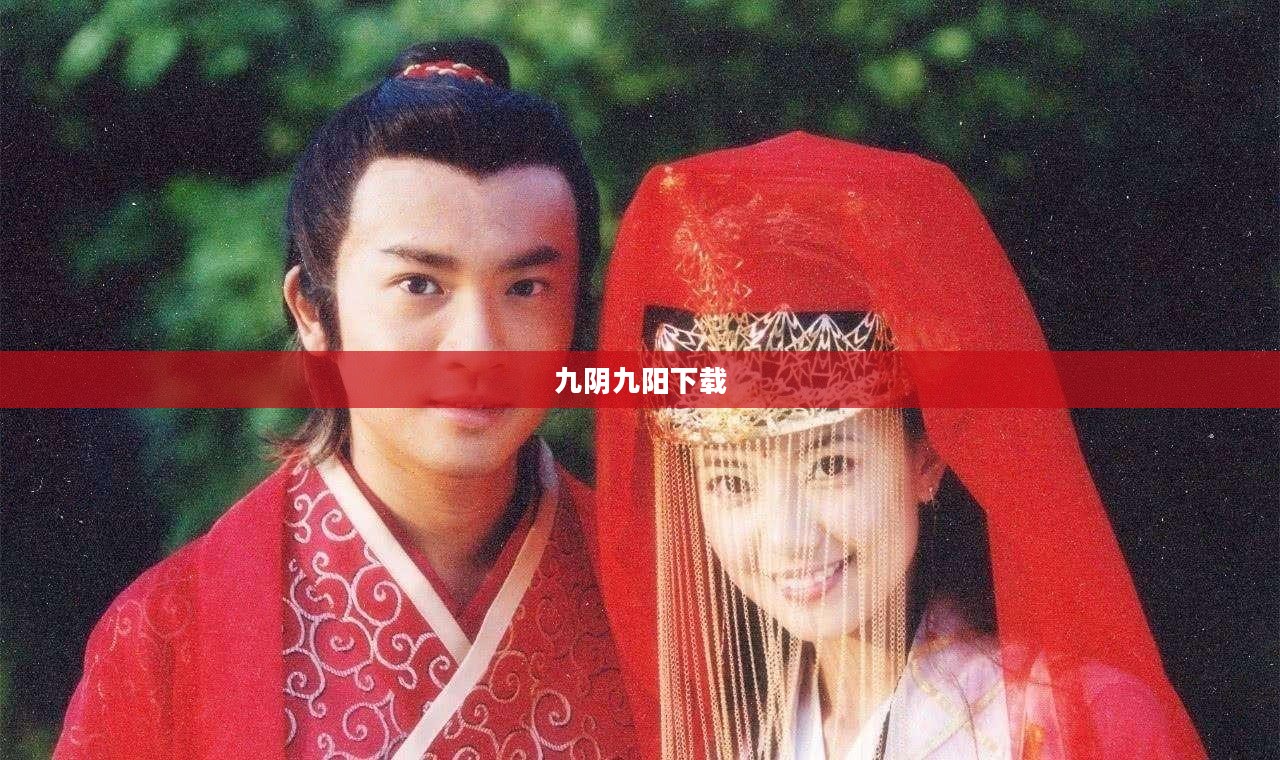 九阴九阳下载，探寻武侠世界的奥秘
