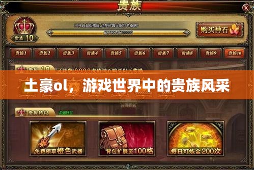 土豪ol，游戏世界中的贵族风采