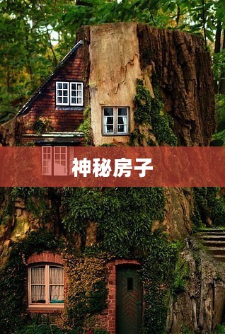 神秘房子,揭开未知之谜的面纱 神秘房子,揭开未知之谜的面纱