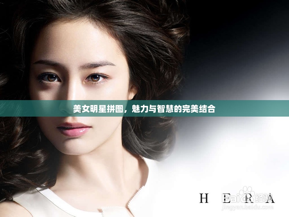 美女明星拼图，魅力与智慧的完美结合