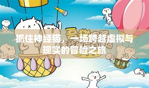 抓住神经猫，一场跨越虚拟与现实的冒险之旅