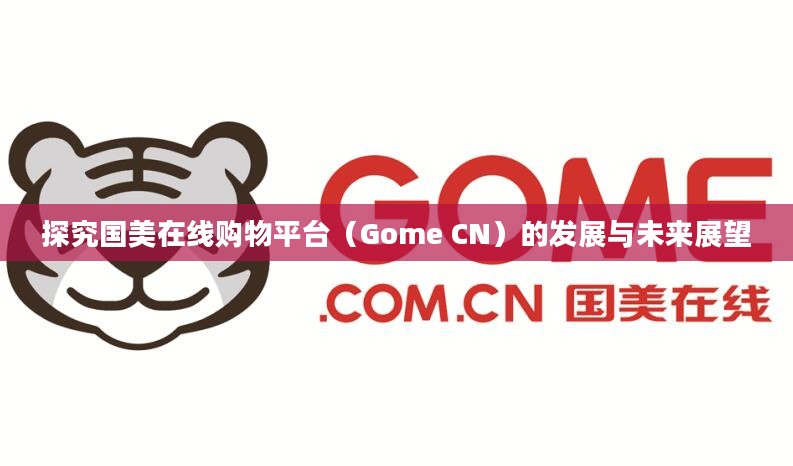 探究国美在线购物平台（Gome CN）的发展与未来展望