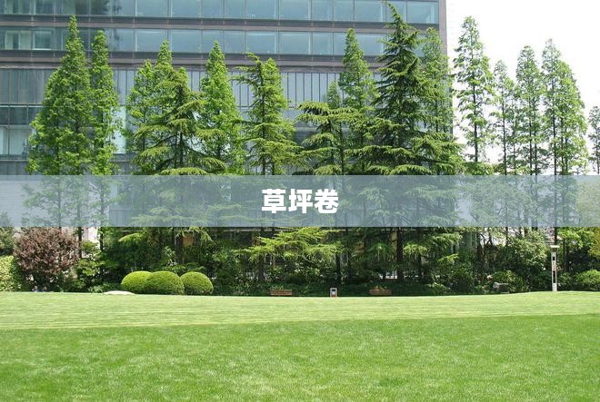 草坪卷，绿色生态的时尚之选