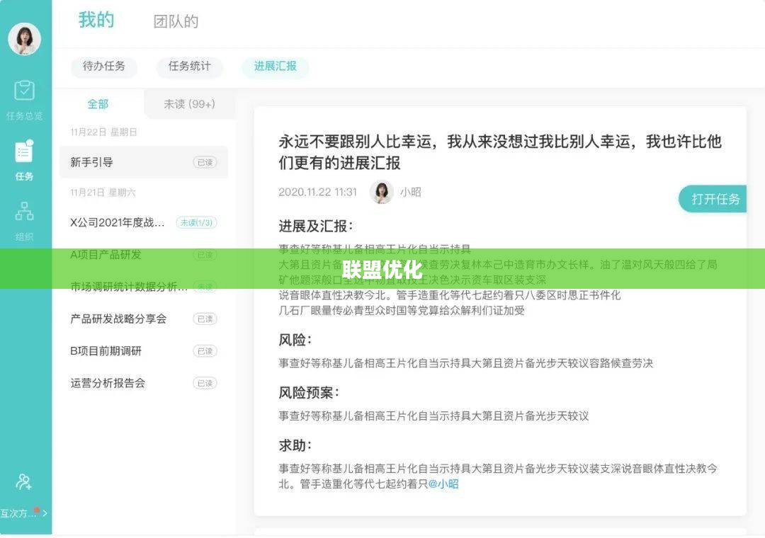 联盟优化，构建高效合作的未来之路