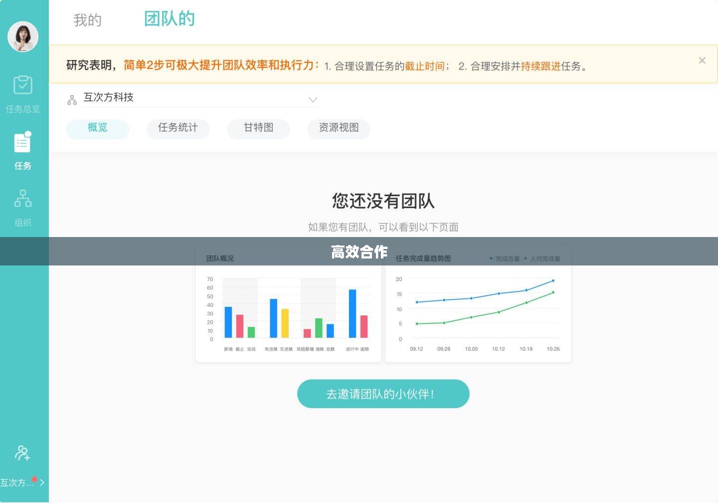 联盟优化，构建高效合作的未来之路