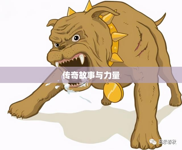 疯狗萨，传奇的故事与无尽的力量