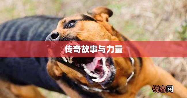 疯狗萨，传奇的故事与无尽的力量