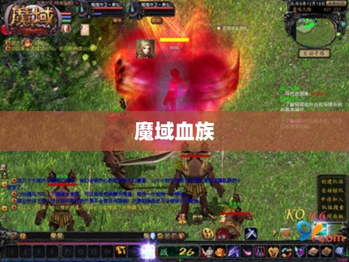 魔域血族技能详解 魔域血族技能详解